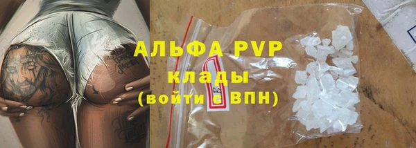 стаф Абинск