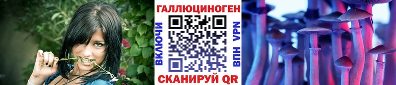 Псилоцибиновые грибы Psilocybine cubensis  hydra как зайти  Дальнереченск 